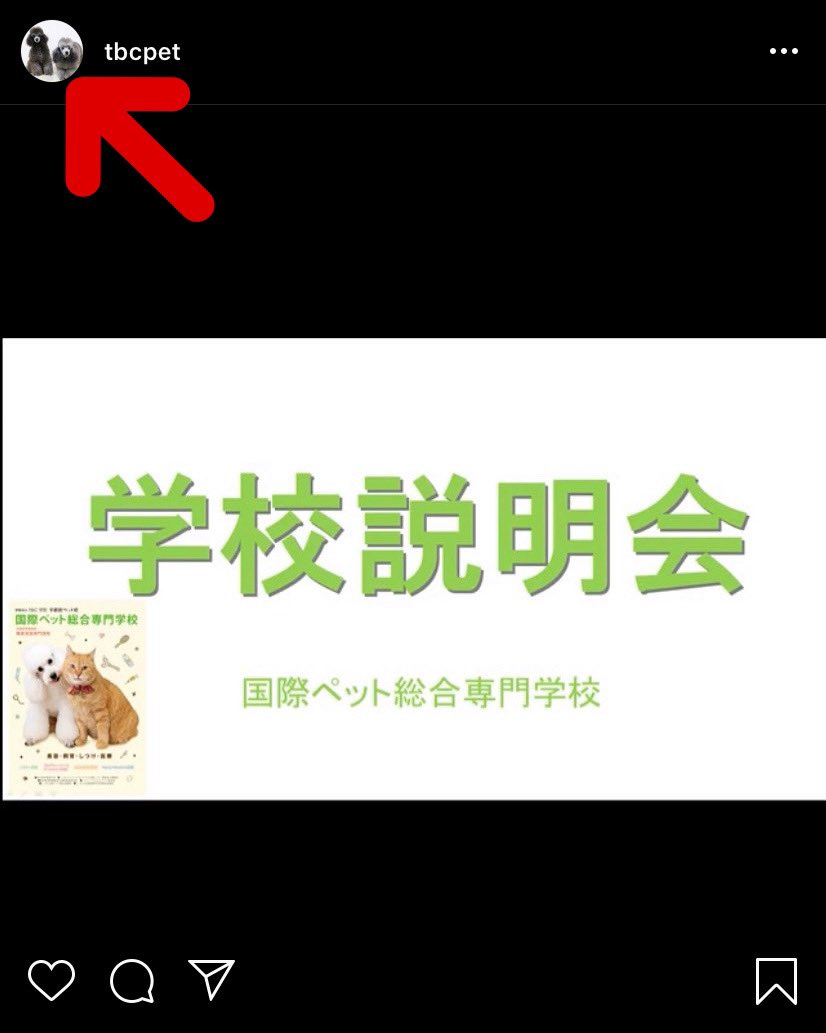 国際ペット総合専門学校 Tbcpet Twitter
