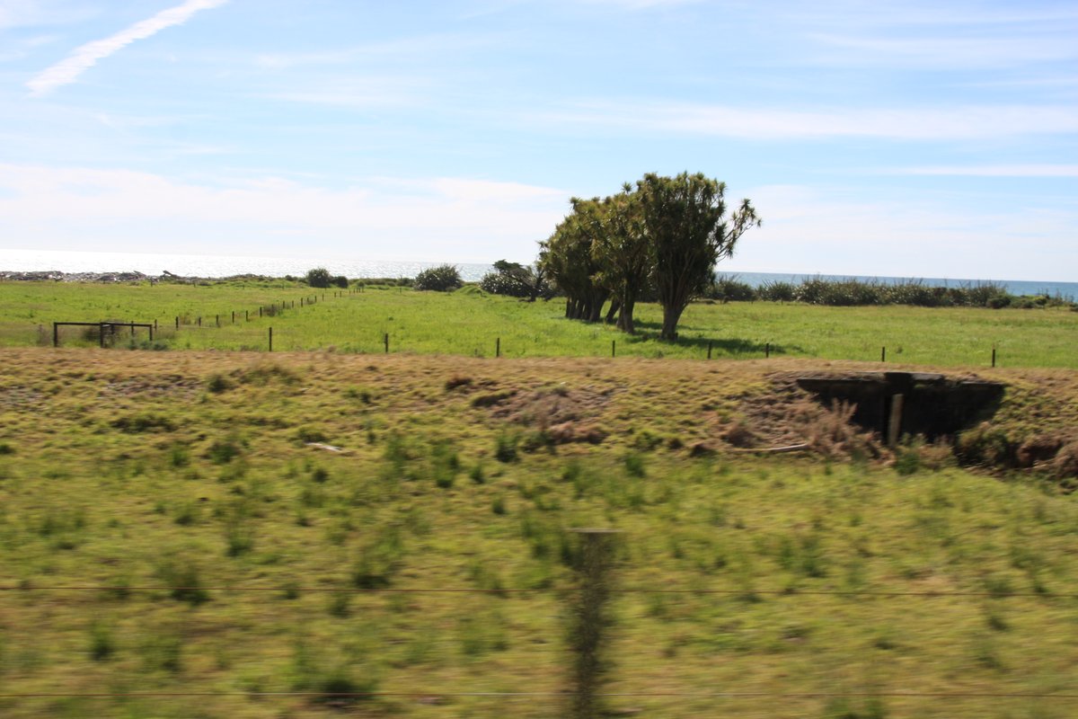 The railway used to run north of Ngākawau to Seddonville. You can still see traces of the old line between state highway 67 and the ocean. I didn't actually get out to take photos so you'll have to settle for blurry images of the old formation and culverts taken from the car.