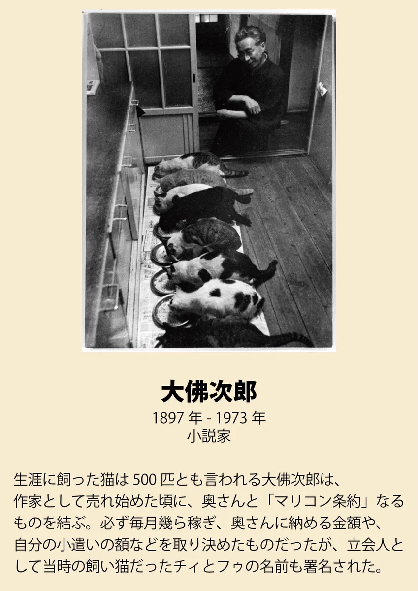実は深い関係が？文豪と猫のエピソードがたくさんあるwww