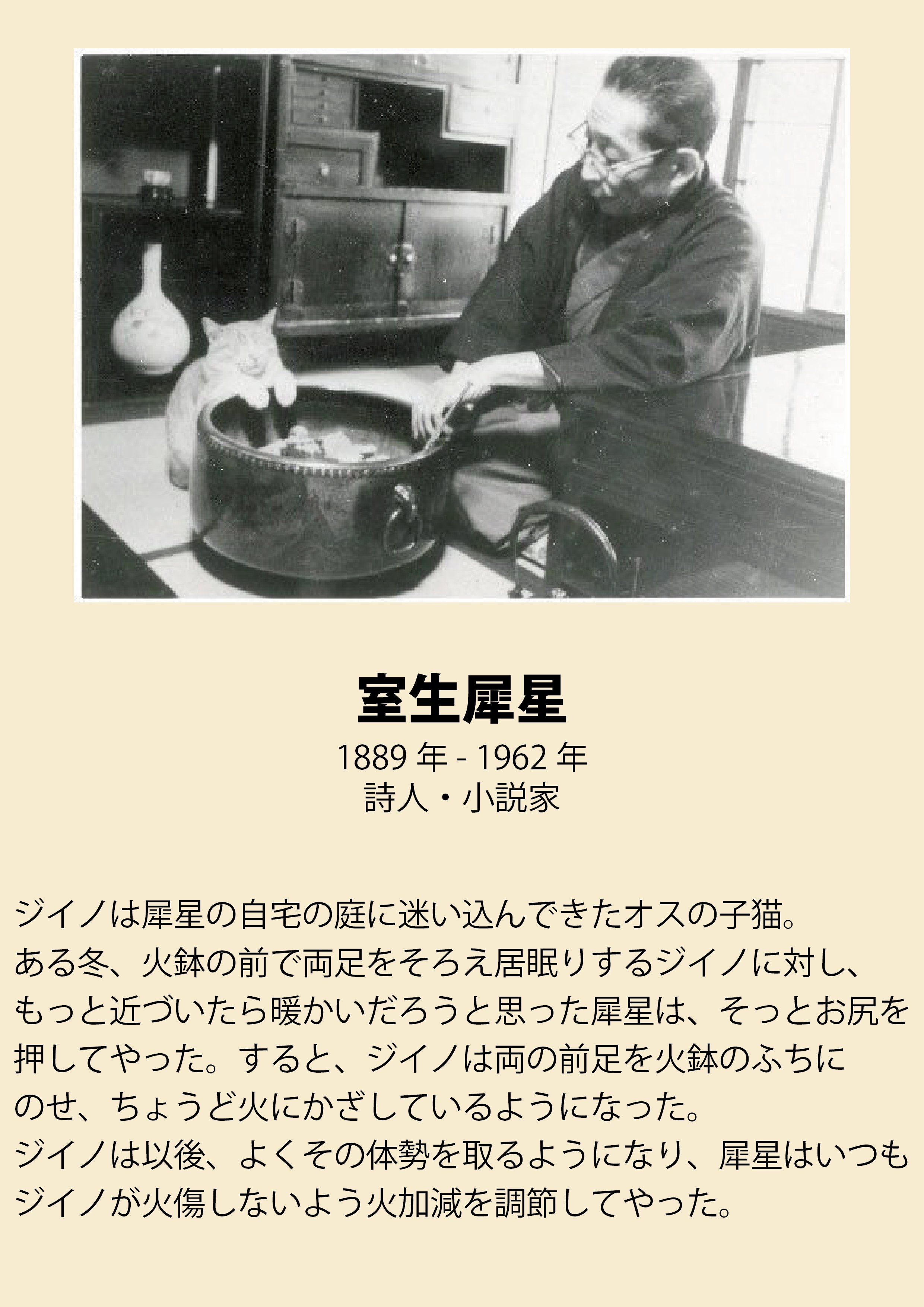 実は深い関係が 文豪と猫のエピソードがたくさんある 話題の画像プラス 実は深い関係が 文豪と猫のエピソードがたくさんある 話題の画像プラス