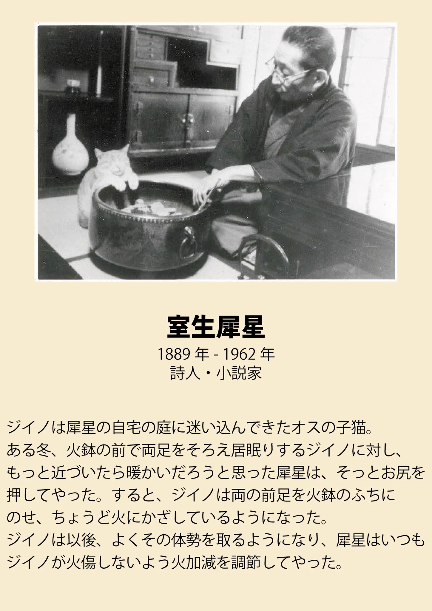 実は深い関係が？文豪と猫のエピソードがたくさんあるwww