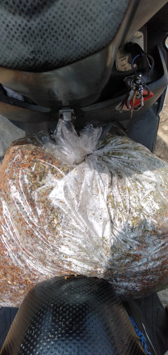 DhafirBibit's tweet image. hasil mulung siang ini, mudah²n menjadi sesuatu yg bernilai, demi sebuah kemandirian dan memanfaatkan limbah organik yg melimpah dengan alat yg sederhana kita olah jadi pupuk organik
kelakuan petani #lahanSempit yg nyambi jdi pemulung ea om @Syawaludin3687 @agrofood_plant