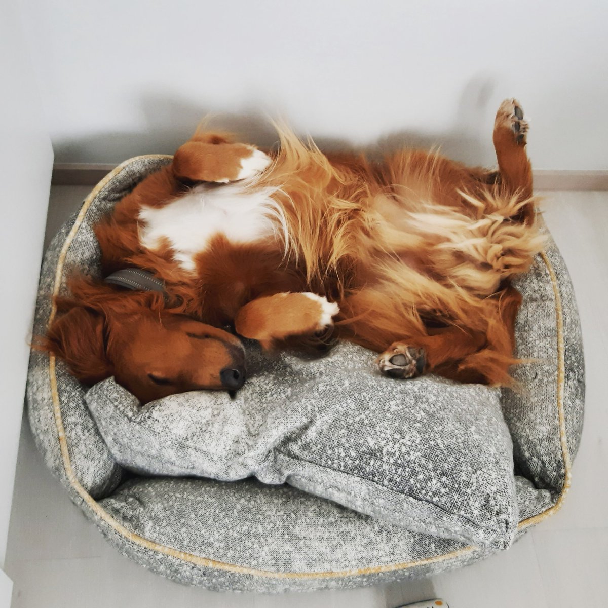 Day 1/7 #mylifeinpictures 
Rules: No people, no words. Challenge new person each day. I was challenged by <a href="/sannacarlsson/">Sanna Carlsson</a>, I challenge <a href="/SatuSaalasti/">Satu Saalasti</a>