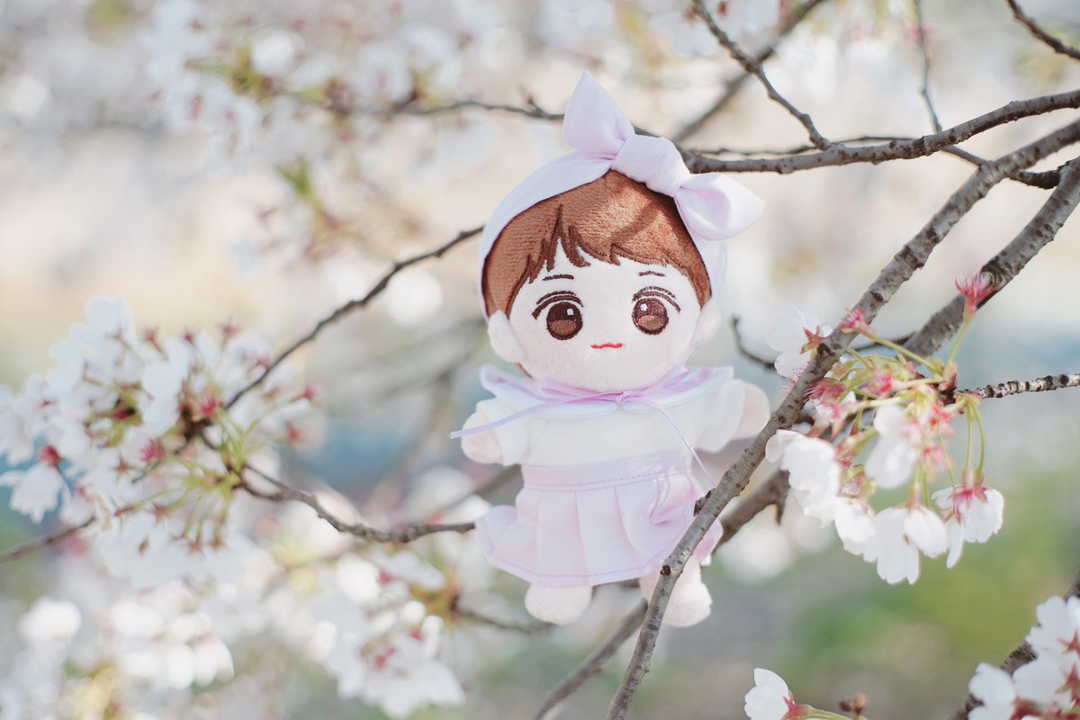 winkbebe___'s tweet photo. 씽그리옷장 @XingleeCloset
상시판매 재오픈✨✨
쁘띠살롱 세트는 언제든지 구매가능! 
4월 15일까지 이벤트를 진행
이벤트 기간동안 구매하신 
랜덤 20분께 세일러봉을 증정한다고 합니다🤍
#씽그리옷장 #쁘띠살롱세트 https://t.co/l0QFSAOBwA