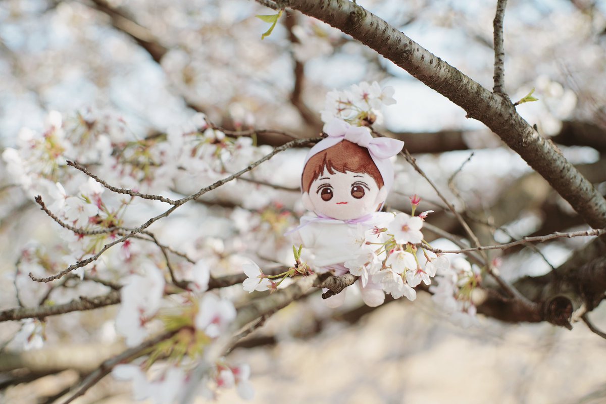 winkbebe___'s tweet photo. 씽그리옷장 @XingleeCloset
상시판매 재오픈✨✨
쁘띠살롱 세트는 언제든지 구매가능! 
4월 15일까지 이벤트를 진행
이벤트 기간동안 구매하신 
랜덤 20분께 세일러봉을 증정한다고 합니다🤍
#씽그리옷장 #쁘띠살롱세트 https://t.co/l0QFSAOBwA