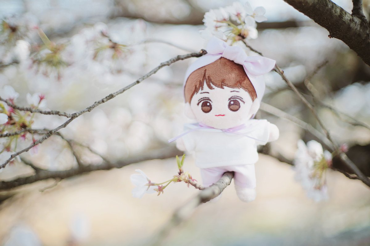 winkbebe___'s tweet photo. 씽그리옷장 @XingleeCloset
상시판매 재오픈✨✨
쁘띠살롱 세트는 언제든지 구매가능! 
4월 15일까지 이벤트를 진행
이벤트 기간동안 구매하신 
랜덤 20분께 세일러봉을 증정한다고 합니다🤍
#씽그리옷장 #쁘띠살롱세트 https://t.co/l0QFSAOBwA