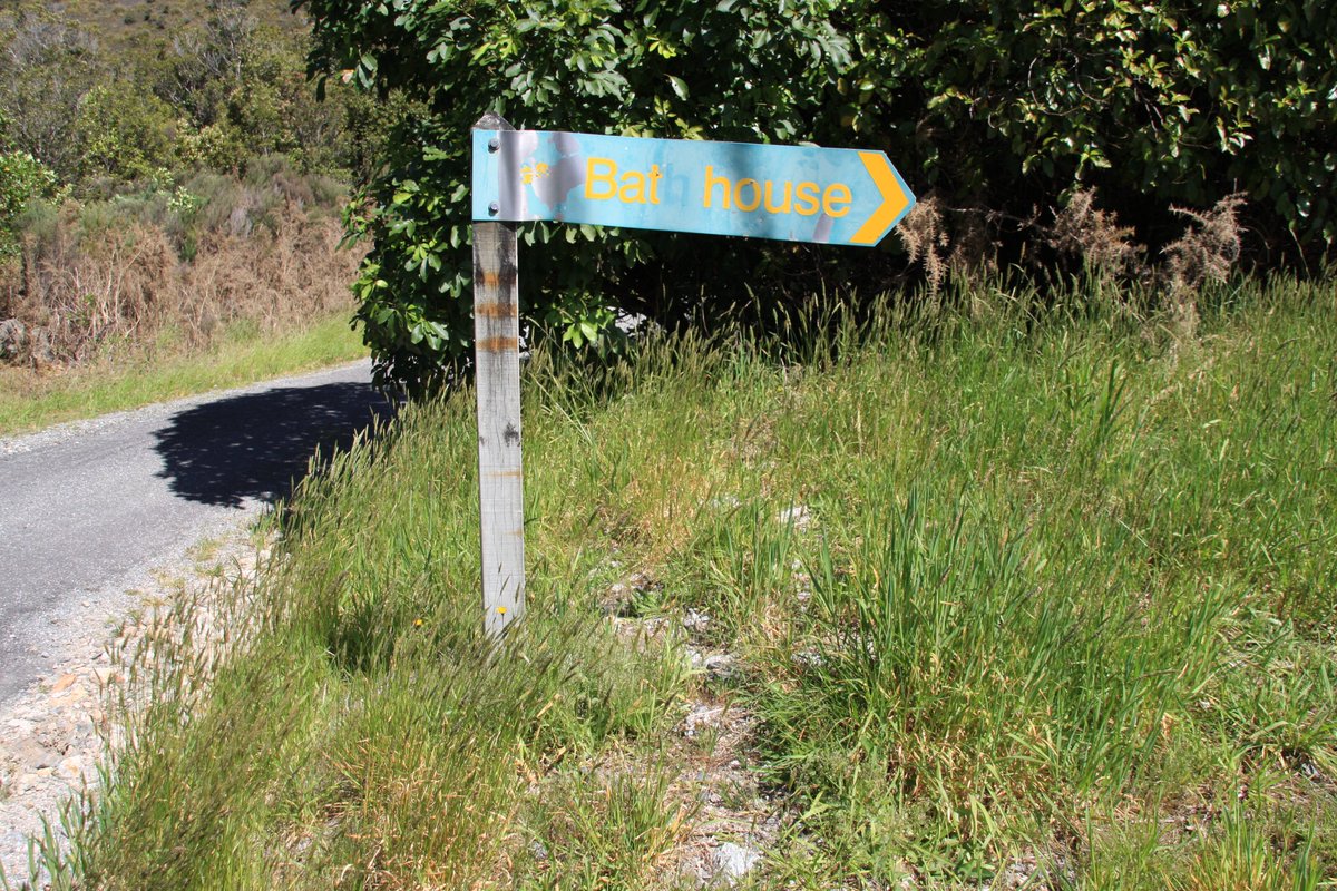 Coal was mined at Millerton from 1896 until the late 1960s. What's left today? Let's follow the sign to the bat house...