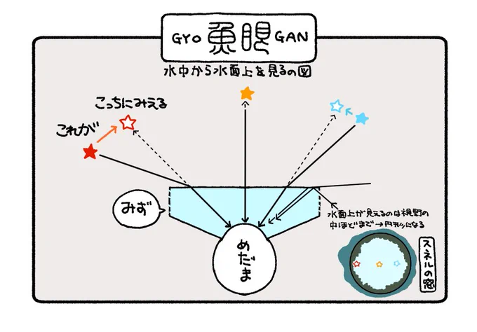 魚眼レンズでいうところの魚眼は水中から水面上を見上げた時みたいなやつ、の意 