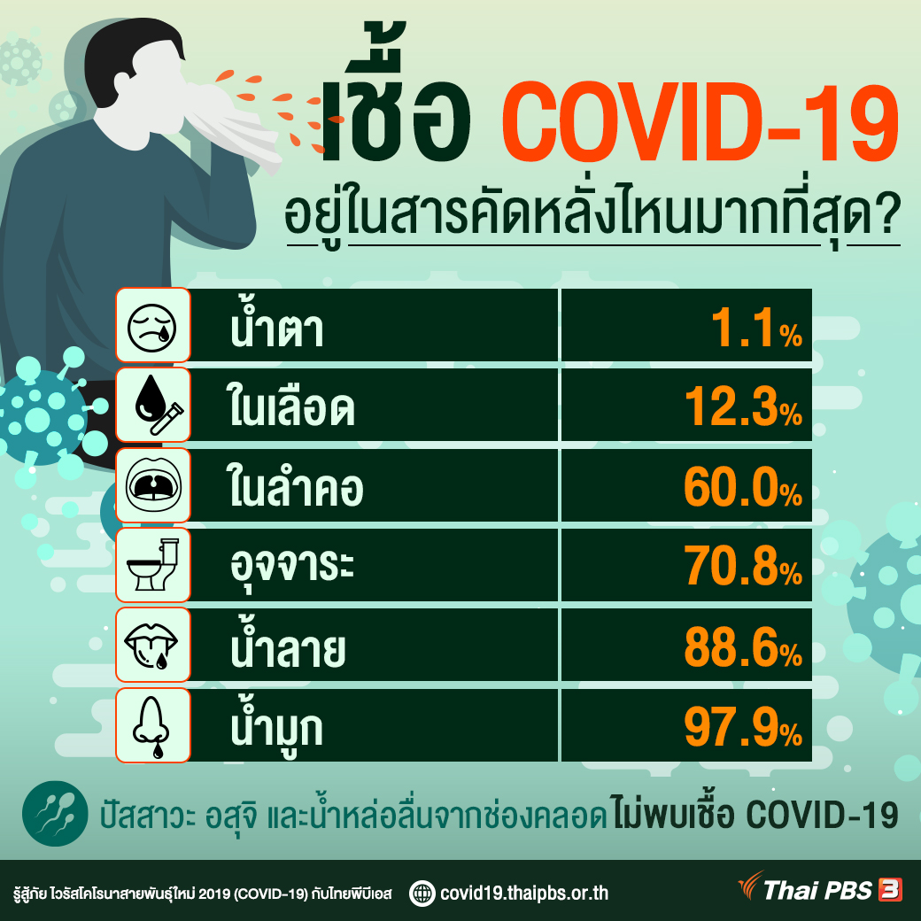 ThaiPBS's tweet photo. รู้หรือไม่! เชื้อ #COVID19 อยู่ในสารคัดหลั่งส่วนไหนมากที่สุด? แอดมินรวบรวม % ของจำนวนสารคัดหลั่งมาให้ค่ะ อย่าลืมดูแลตัวเอง และอยู่ห่างจากคนรอบตัวอย่างต่ำ 2 เมตรนะคะ #ThaiPBS #โควิด19 https://t.co/doOy1xtld4