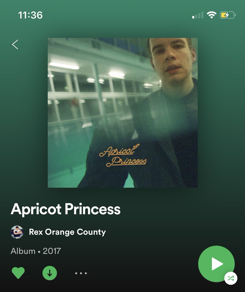 apricot princessfav songs: never enough, waiting room, 4 seasons, happiness, nothingliterally not a skip on the album; even the sax solo gets listened to all the way through.