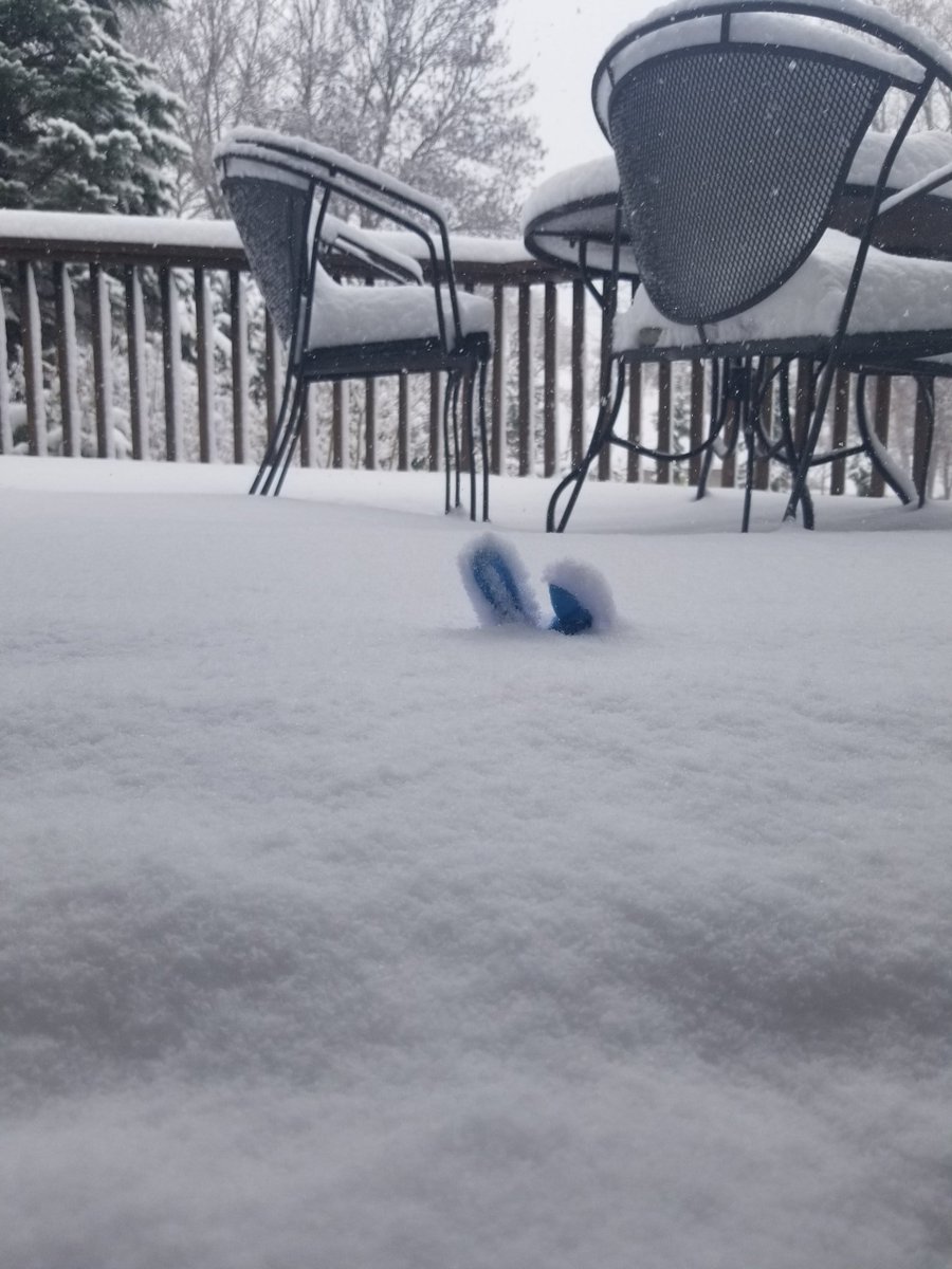 Happy Easter from MN