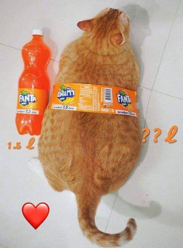 funkzrainz's tweet photo. ❤️ for FANTA 😂for COKE https://t.co/2zjMn7eniF