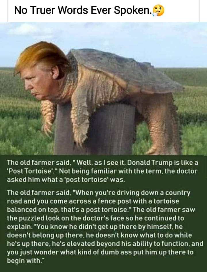TurtleTVShelly's tweet photo. @SandyZuzu https://t.co/AFVPYHEmD4