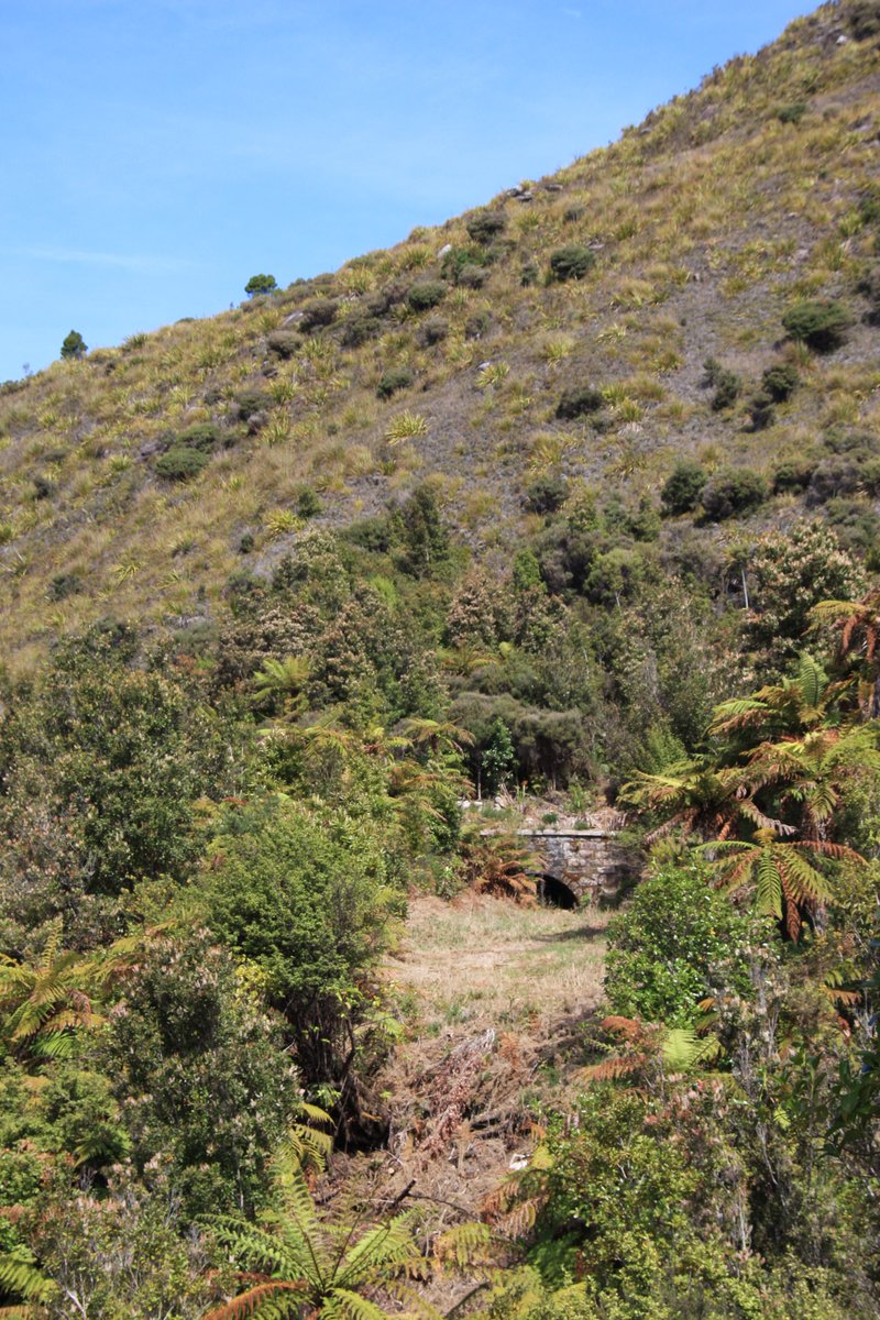 I wish I'd had more time to explore Millerton—there is more to see than what I uncovered, including old tunnels.