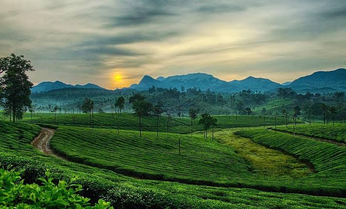 spkarthick93's tweet photo. @JodySmithNFL Hi #Brandon

Wish you a very happy birthday! :)

Love from #India

Pic: Ooty, Tamilnadu, India https://t.co/JYUXzIJh0J