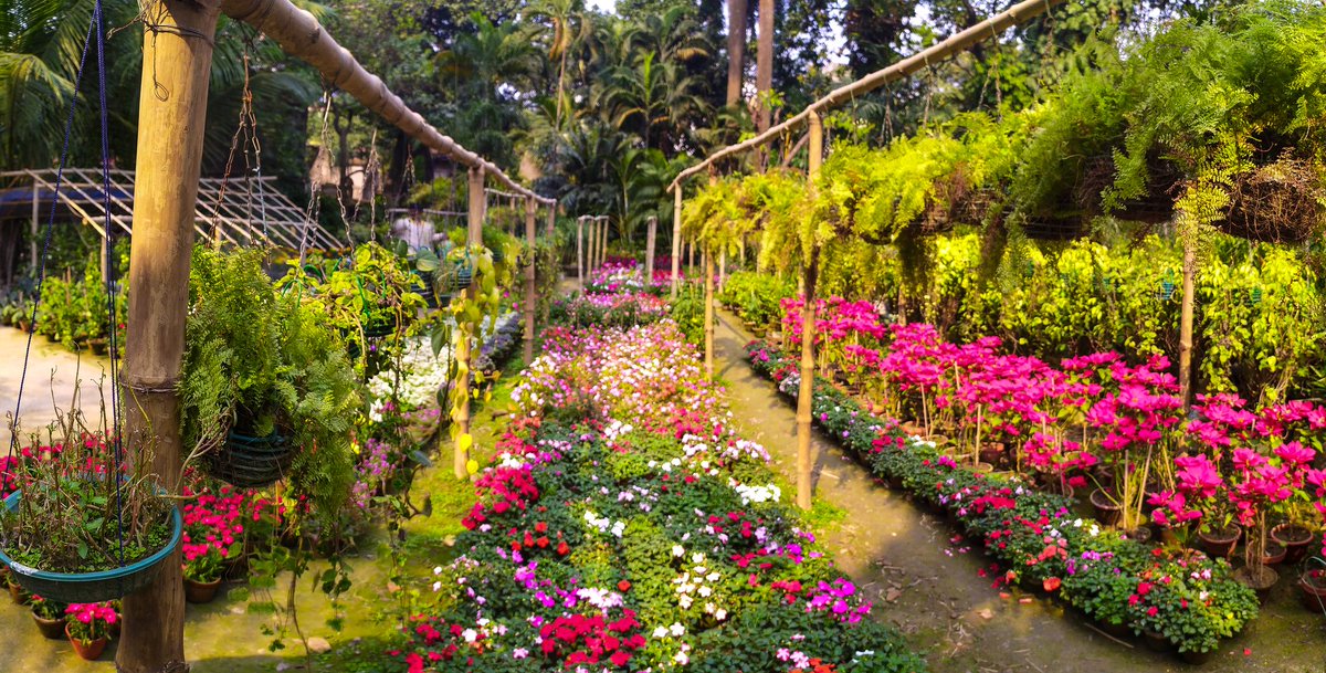 Snehaspeaking's tweet photo. बगीचा 💮🍁🌻🌸
I don't like formal gardens. I like wild nature. It's just the wilderness instinct in me, I guess.❤️
Morning views 😍
#QuarantineDays #GardenWildflowerHunt #gardening #wildflowers #StaySafeStayHome #Flowers #garden https://t.co/9mAzDuU4gN