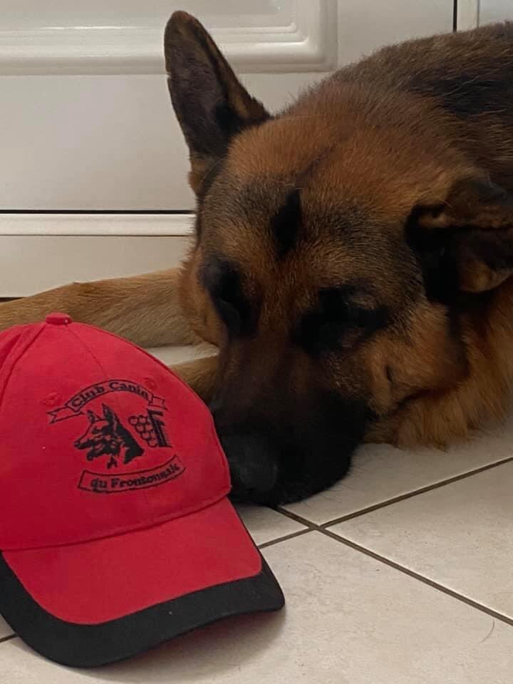 J’en ai mar ... C’est quand que je revois mes copains et copines ? Le club me manque 😔😔😔