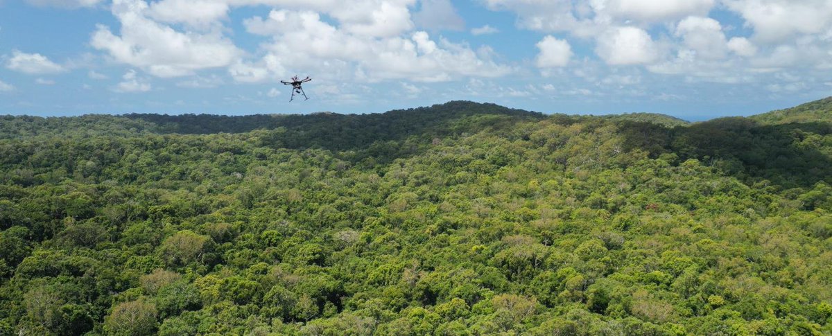 TerraLuma's tweet photo. I am looking for a Postdoc👩‍🎓🧑‍🎓 to join my team for 2 years working on #hyperspectral #drone #remotesensing🛰️of biodiversity traits with @stuartphinn @IRSS_UBC and hyperspectral sensing from #HAPS in collaboration with #Astigan Applications close 24 April!
https://t.co/ZFzFfz7g3B https://t.co/MjrHw1xhmc