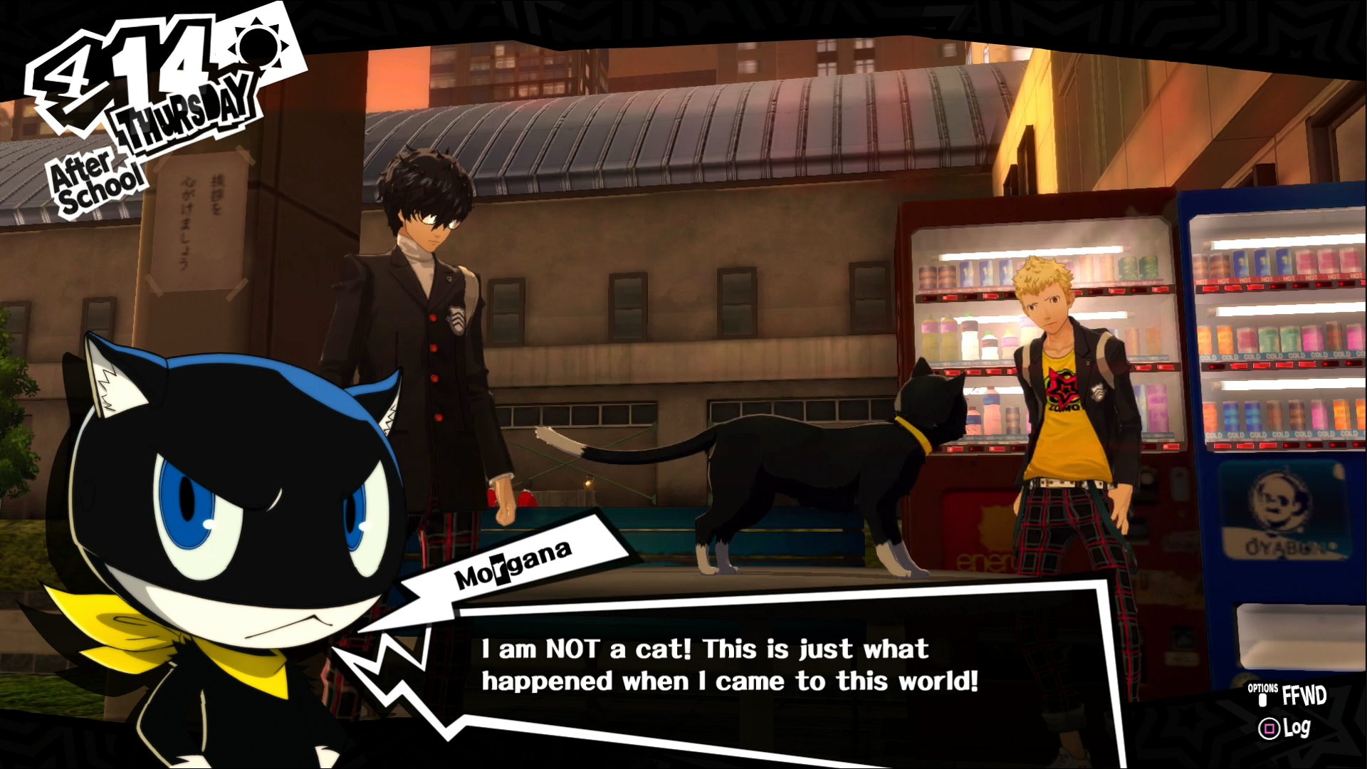 Today In Persona 5 Royal You Aren T A Cat You Just Turned Into A Cat