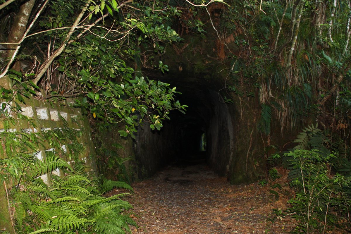 All was not lost though, because I had already walked through the highlight of the walkway: the old railway tunnel!