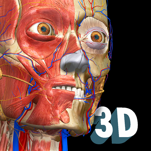 idruide's tweet photo. 🔔 "Anatomy learning", Atlas d'anatomie 3D pour étudier l'#anatomie humaine. Pilotez les modèles, découvrez les structures, ou faites des quizz. App idéale pour les cours de sciences au collège et au lycée.
#application3D
🎓 Secondaire
https://t.co/9kPLFfjHGB
#App #projetPedago https://t.co/aje4jqmW5x