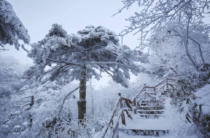 susuuuly_'s tweet photo. spring, summer, autumn and winter #China https://t.co/vTBybGx6gA