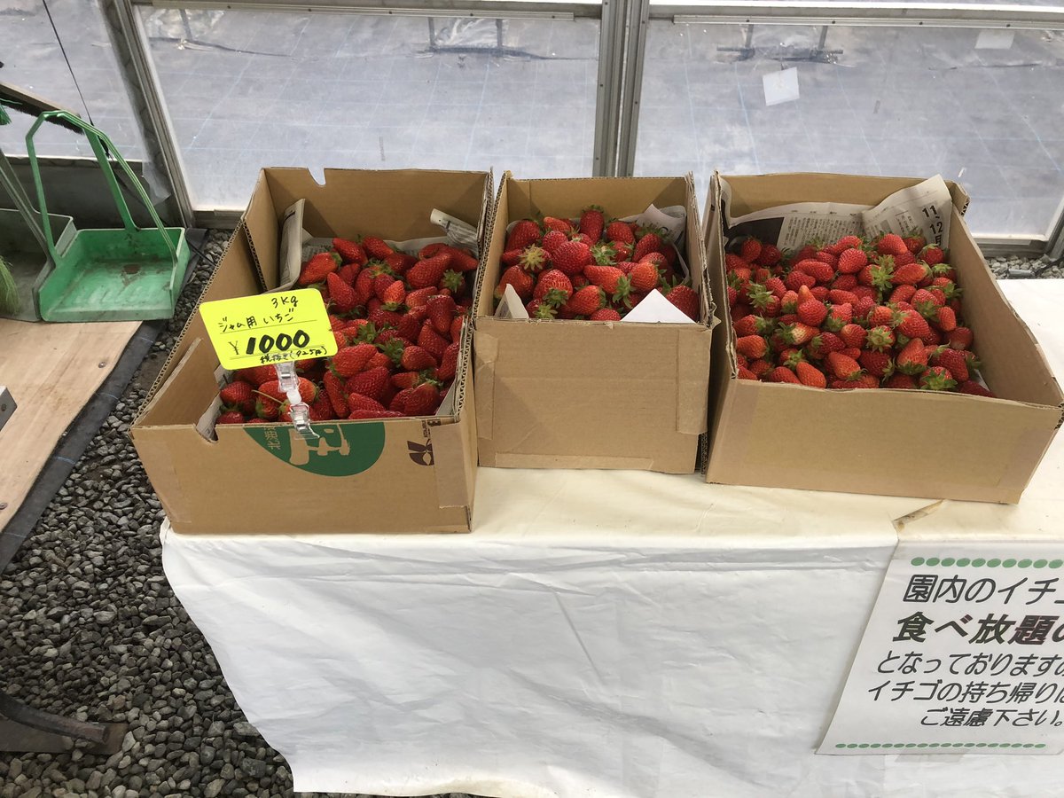 ハッピー農園株式会社 本日もまもなく営業終了となります 明日も通常通り営業させていただきます パック売りのいちごのほかに ジャム用いちごもたくさんございます 自宅でいちごジャムを作りながら待ち時間にゆったり考え事をしたり 出来たての ハッピー農園株式会社 本日もまもなく営業終了となります 明日も通常通り営業させていただきます パック売りのいちごのほかに ジャム用いちごもたくさんございます 自宅でいちごジャムを作りながら待ち時間にゆったり考え事をしたり 出来たての