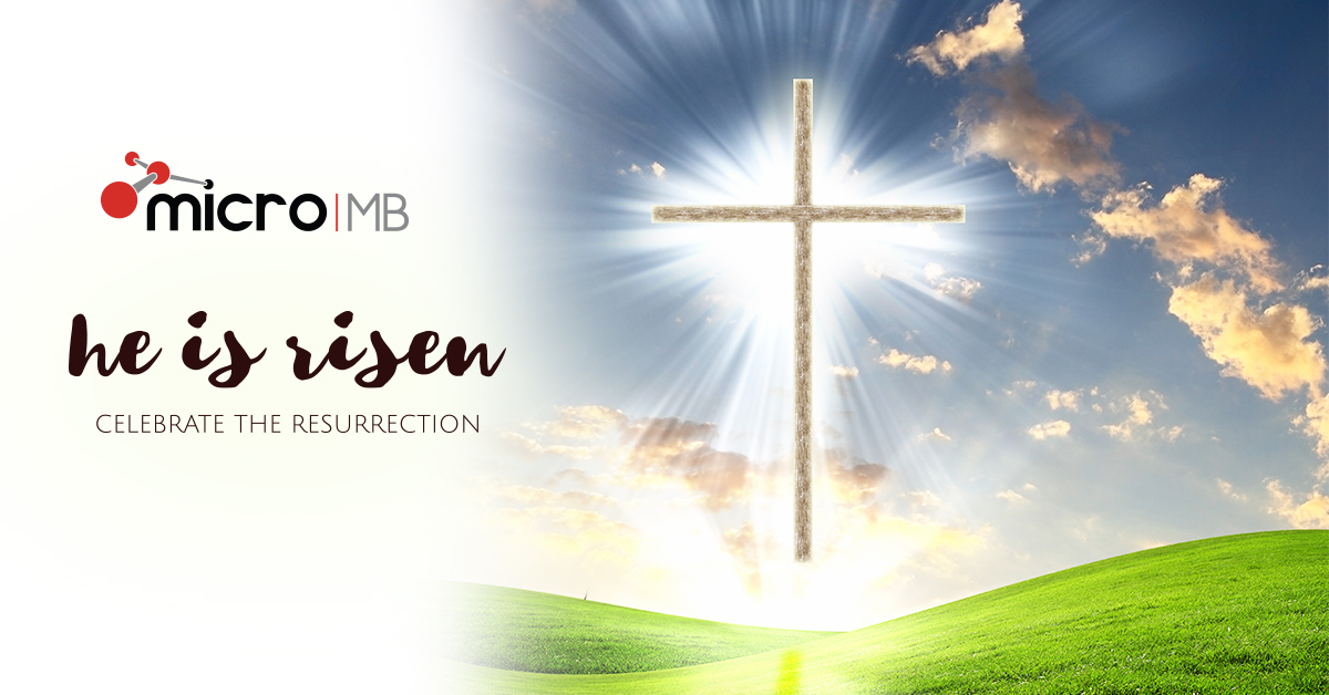 MicroMBBrand's tweet photo. Wishing all the families around the world celebrating, a safe and #HappyEaster!
#Easter2020 #MicroMB #PlasticCompounds https://t.co/K7v40H3UVA