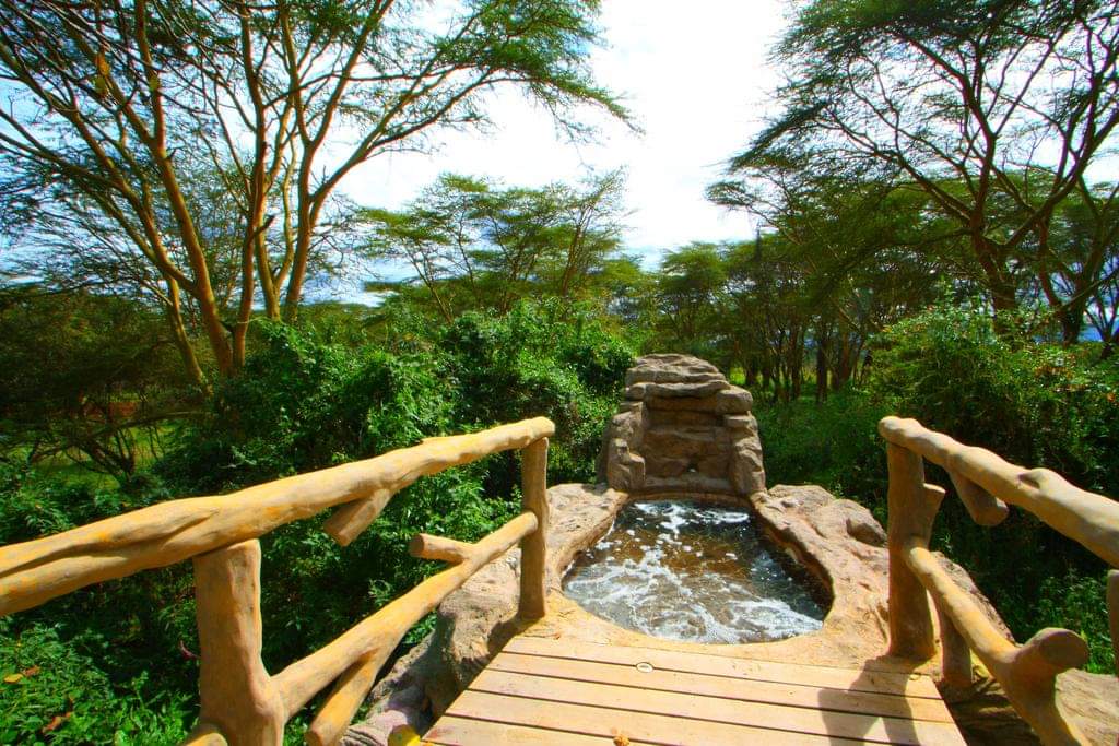Wileli house Located in a private wildlife conservancy in Naivasha. Now this is affordable at ksh 14,000 per person per night depending on the value you get for the money.
