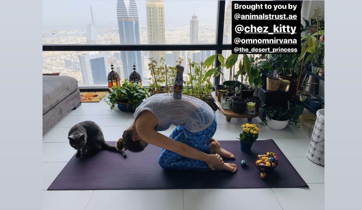 YOGA CLASS ON ZOOM TODAY AT 6 PM! Your participation saves an animal life ❤️ dm is if you’d like to participate! 

اليوم مسوين لكم كلاس يوقا على برنامج زوم! مشاركتكم تنقذ روح حيوان! حابين تشاركون؟ اليوم الساعه ٦ المساء، كلمونا عشان نطرشلكم كيف ❤️