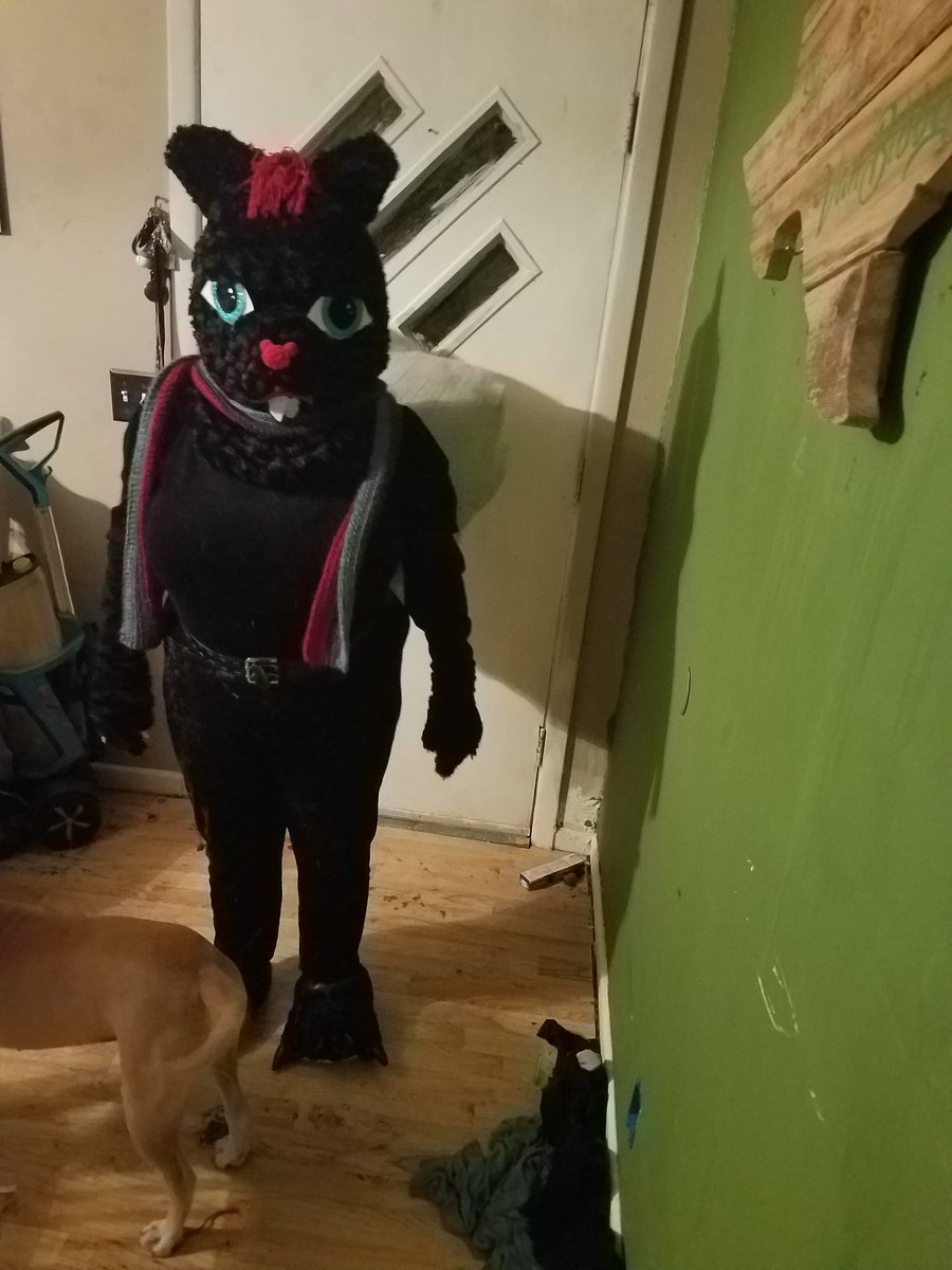 catsquirrelgurl's tweet photo. @mizubaka_ @DontHugCacti Made it my self and it was my second try so... A bit wonk
#catsquirrel https://t.co/y4ZSmN9VG1