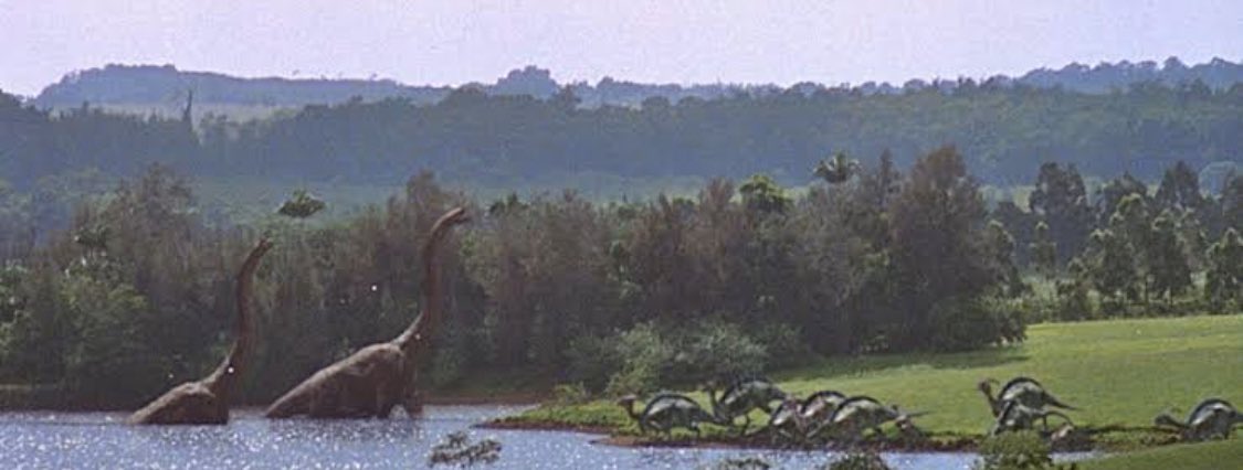 This was taken yesterday in Central Park. Nature is returning. We are the virus.