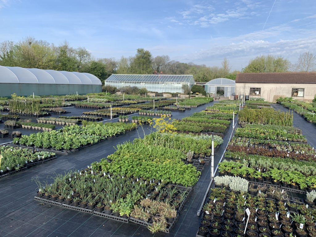 Easter Day - while I watered the herb farm the amazing family spent the day seed packing ready for the post on Tuesday.