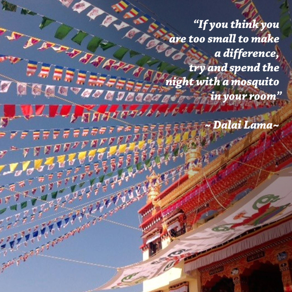 If you think, your one act of kindness for a neighbour who needs assistance, won’t make a difference, think of that minuscule virus particle and how once multiplied it changed the world. Now it’s our turn to do the same.

#kindness #buddhism #benicewitheachother