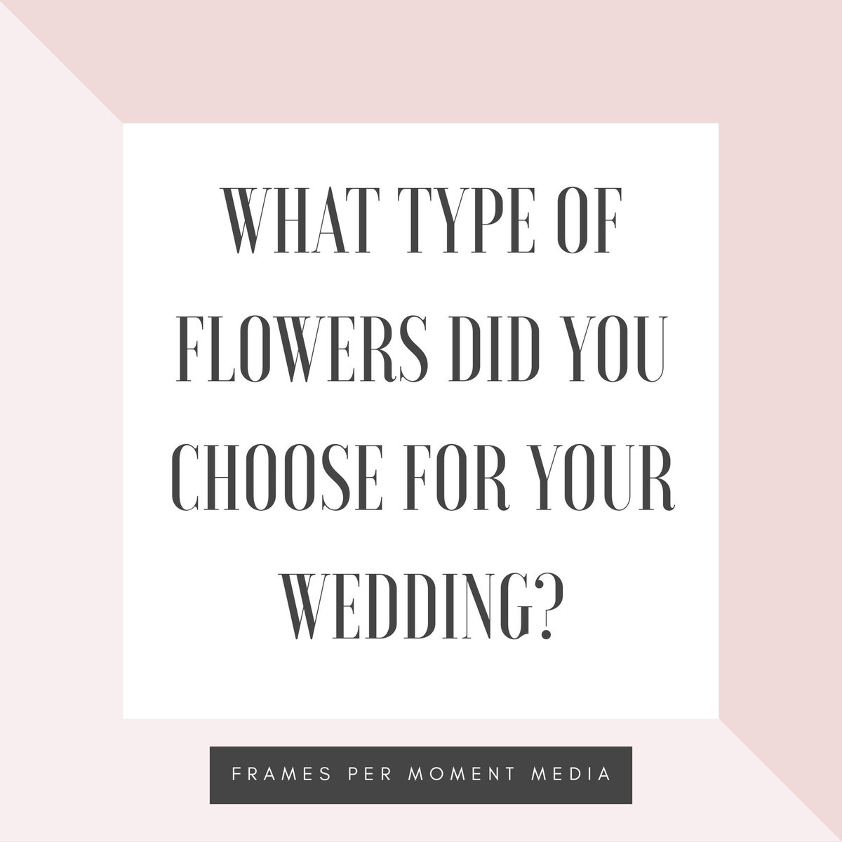 FramesM's tweet image. ⬇️Let us know in the comments below!⬇️
•
•
•
#weddingfilm #weddingvideo #weddingvideographer #wedding #weddings #weddingvibes #videography #videographer #filmmaker #smallbusiness #rutland #lincolnshire #cambridgeshire #peterborough #london #weddingflowers #weddingbouquet