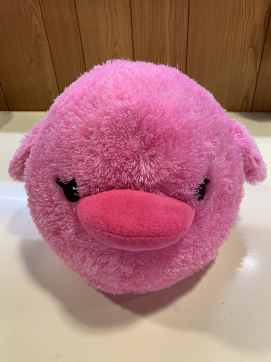 やまぴょんinリアクア北陸 大和屋 Sur Twitter ひよこちゃんの綿詰めビフォーアフター 一目瞭然でフワッフワになりました リアクア 宅配クリーニング ぬいぐるみクリーニング ぬいぐるみ ぬいぐるみじゃありません家族です ぬいぐるみ ぬいぐるみ洗濯 やまぴょんinリアクア北陸 大和屋 Sur Twitter ひよこちゃんの綿詰めビフォーアフター 一目瞭然でフワッフワになりました リアクア 宅配クリーニング ぬいぐるみクリーニング ぬいぐるみ ぬいぐるみじゃありません家族です ぬいぐるみ ぬいぐるみ洗濯