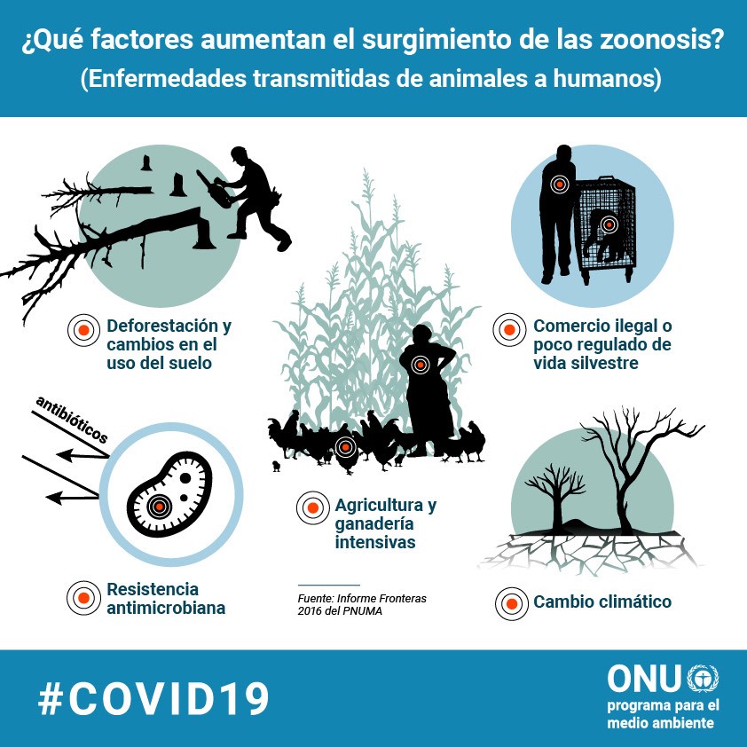 Ecoprácticas tweet media