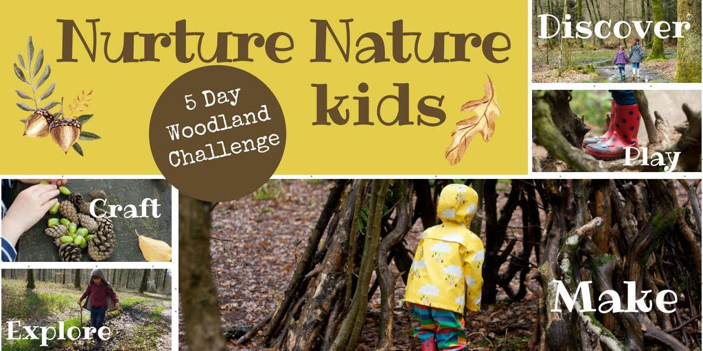 5 Day Kid's Woodland Challenge - celebrate all things outdoor and fun! Enjoy FREE fun ideas to explore the woods with your kids. #woodland #outdoorfamilies #outdoorlearning #homeschool bit.ly/2PKv1WY