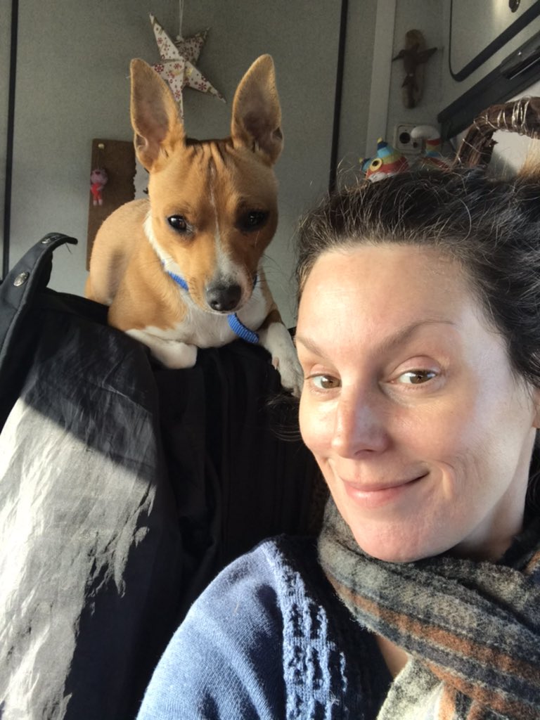 galarama's tweet photo. The most photographed dog EVER... I gotta stop x https://t.co/m0anOGX224