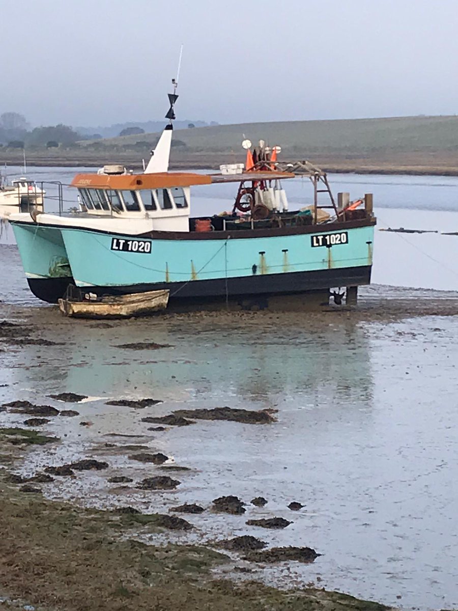PassionSeafood's tweet photo. Things have moved on again. I can now announce we have 2 more Suffolk boats in the #apassionforseafood fleet!  @Pinneysoforford 's vessel's 'Jolene' LT1020 &amp; 'Southern Cross' LT1033, joining us in the hunt for prime seasonal fish and shellfish from Orford #shoretoshop 😎 https://t.co/NdCHDbzCa4