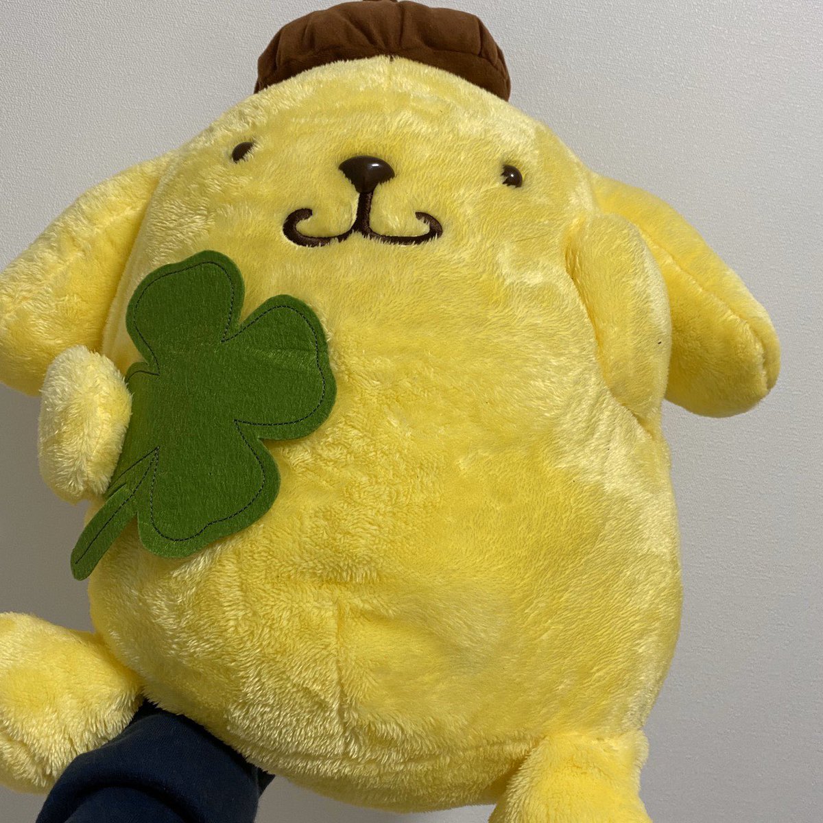 official_jo1's tweet photo. こんにちは！大平祥生です:)
20歳なりました！！
とても実感がないのですが
これから大人っぽくなれるよう頑張っていきます！！
誕生日にしょうやからサプライズでポムを貰って、しおんに夜 出前を頼んでもらい、そしてスカイからプッチンプリンを貰いました！本当に幸せ者です🤤
#HappyShoseiDay https://t.co/6NpDscBGtn