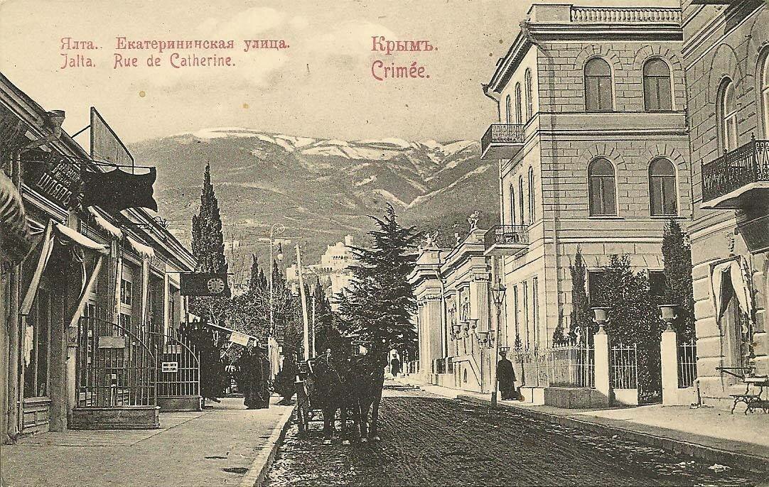 Андрей tweet media