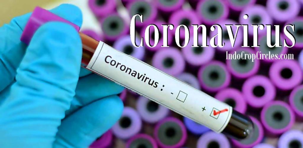 CoViD19 Mutasi! Serangan Senyap: Ribuan Positif CoViD19 Tanpa Gejala Infeksi indocropcircles.wordpress.com/2020/04/01/ser…