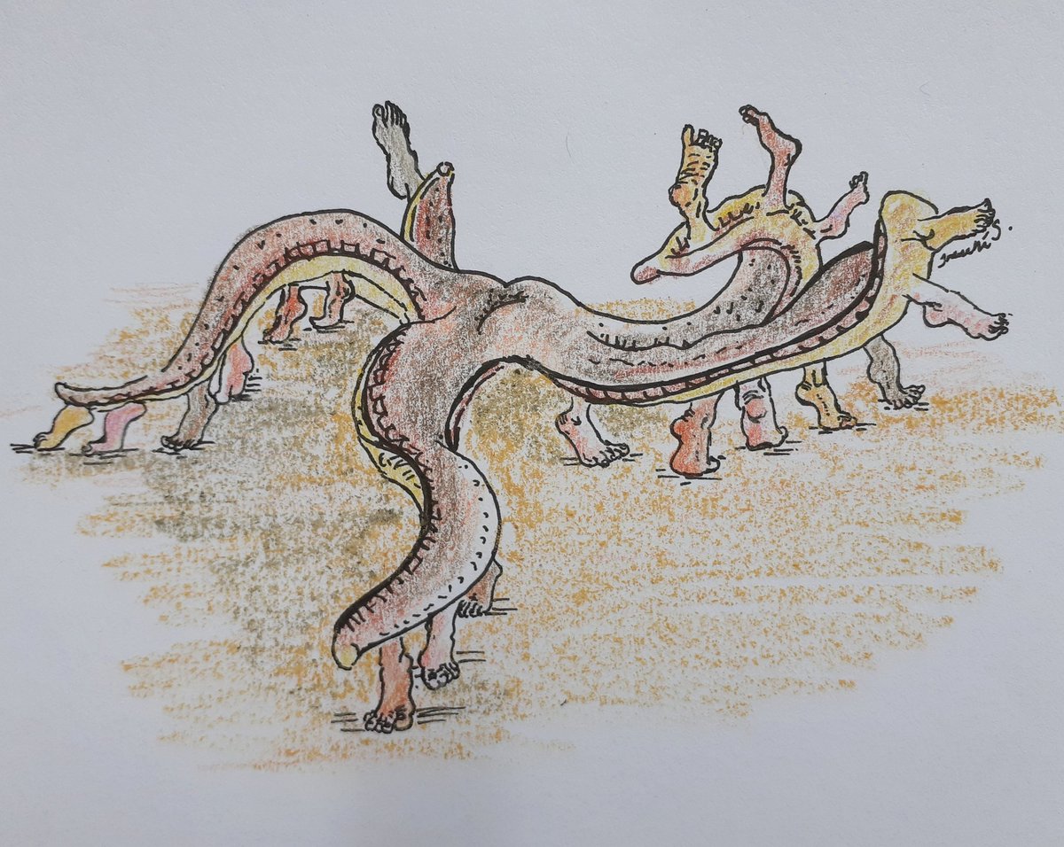 Drawrene's tweet photo. I was inspired to draw this after being shown a video of starfish walking (they look like they're on their tiptoes). My sincere apologies. How long have we been in quarantine now...?
#makeinisolation #createinisolation #cartoon #funnycartoon #starfish https://t.co/6MSrDpWVzk