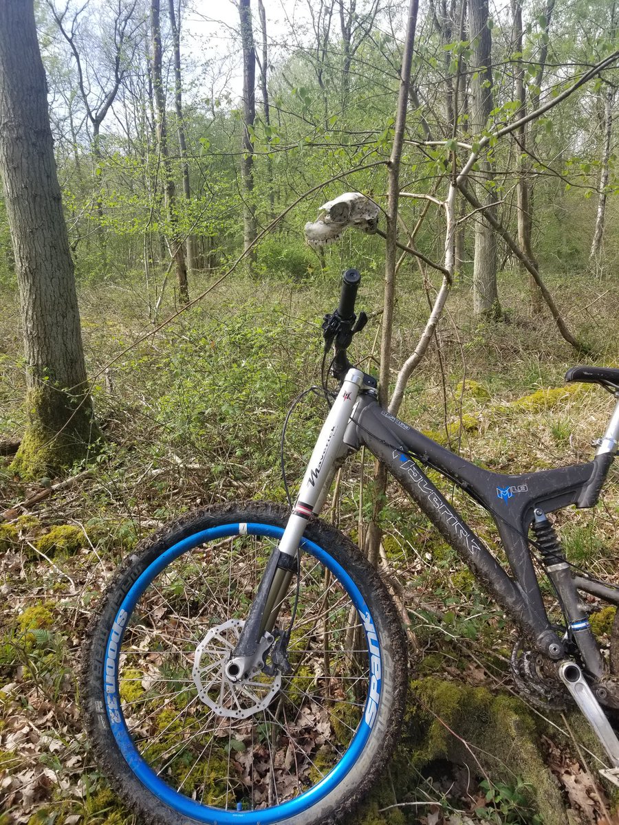 3216andy's tweet photo. Skull rise not sun rise. #badbeach #singletrack #26aintdead #maverick #socialdistancing #mtb #loamlife #NotFar #NoGnar #NoCar https://t.co/wHQF6ximxy