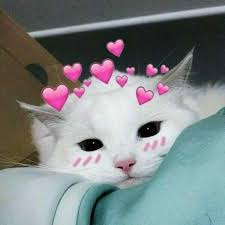 uwu kenma