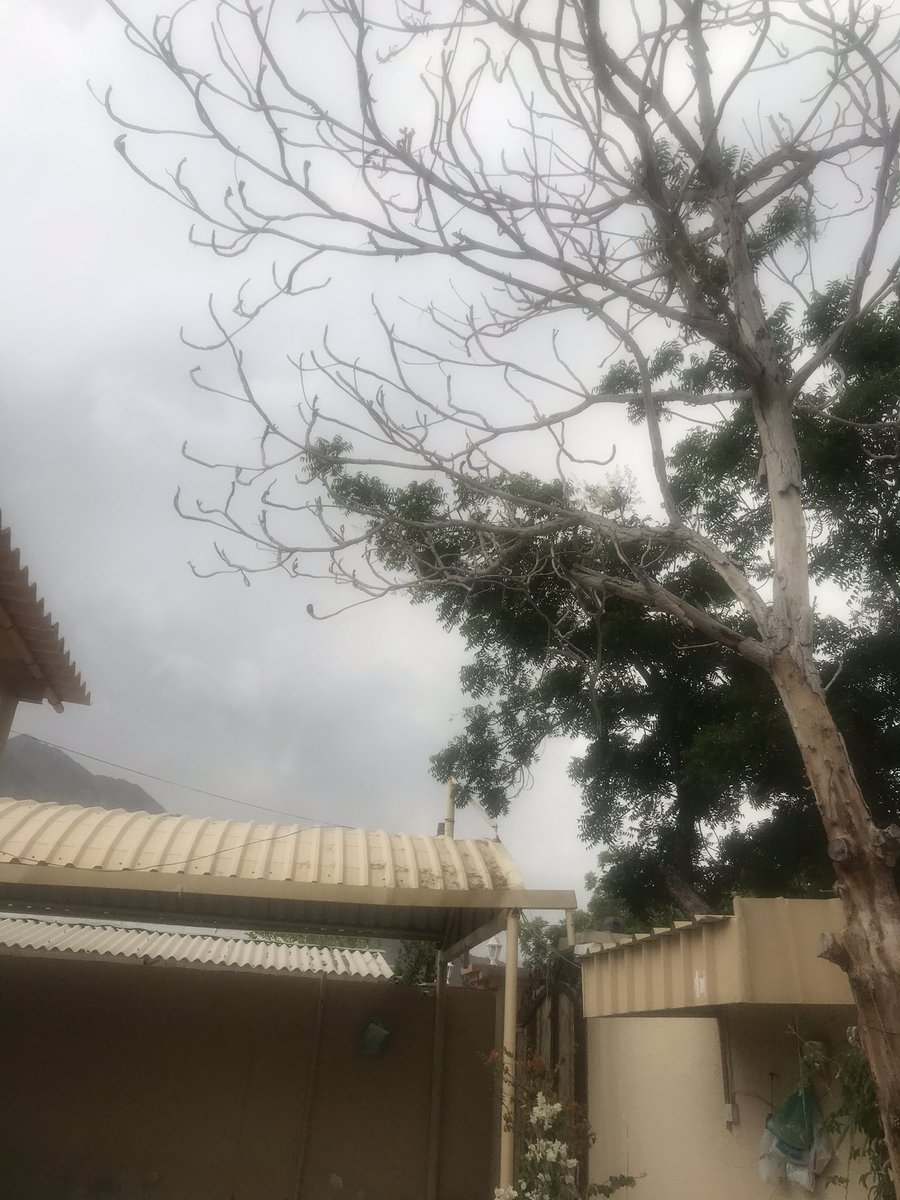 yousifalraeesi's tweet photo. رعود في #خورفكان والأجواء تبشر بالخير 🇦🇪🌧🌧اللهم أغثنا اللهم أغثنا 🌧اللهم اسقنا الغيث ولا تجعلنا من القانطين 
@ArabiaWeatherAE 
@altaqs 
#خليك_في_البيت https://t.co/dvLntrtcSC