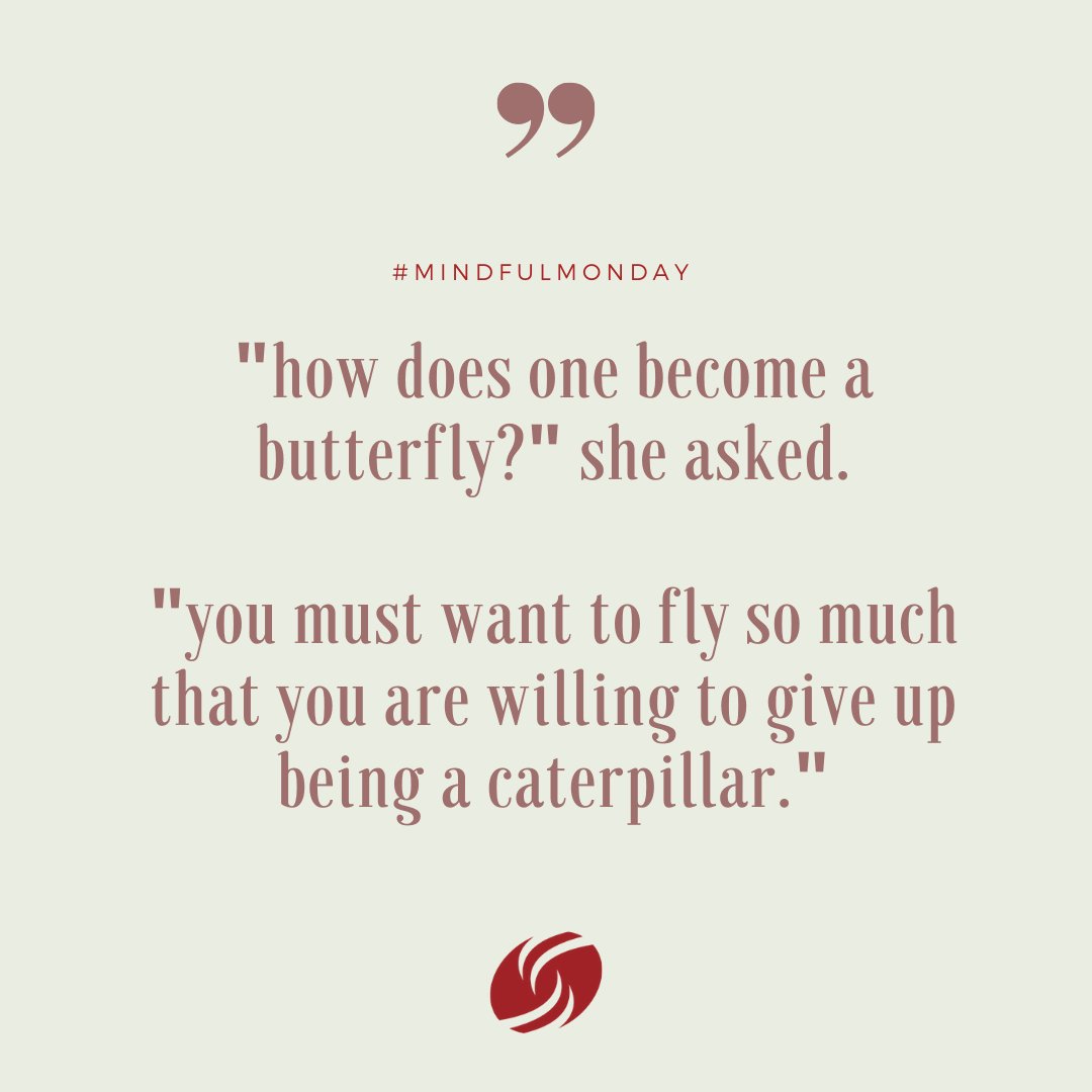 dfsqc's tweet photo. #MindfulMonday #MondayMindset https://t.co/SWCmiVQAec