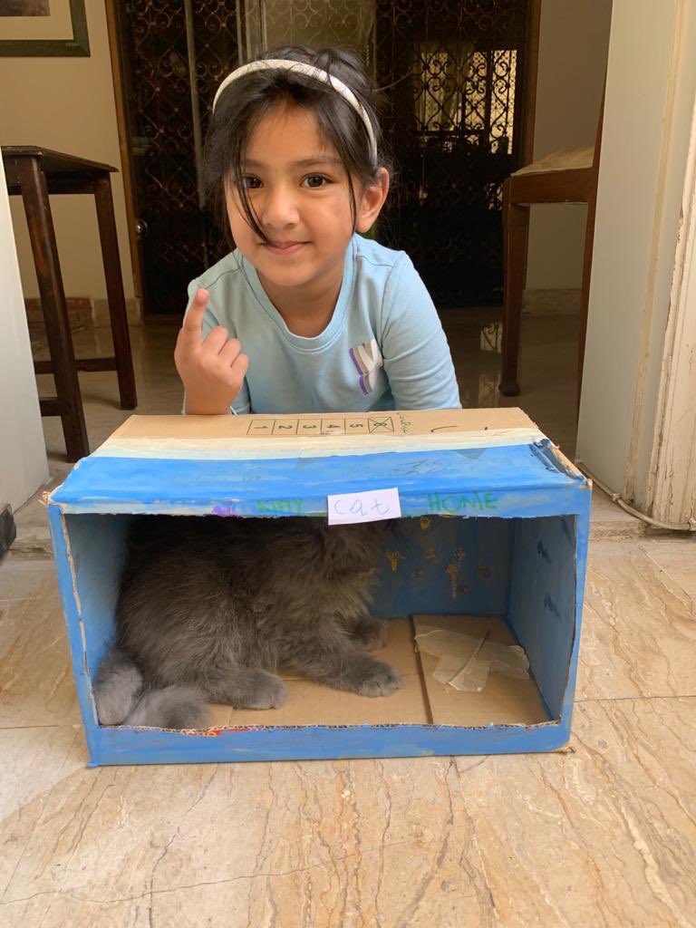 Youmaneh1's tweet photo. Repurposed the rainbow fish diorama from week 1 and made a little home for Louis the kitty ❤️ @DBFFS2Orange https://t.co/eRmcavZbDZ
