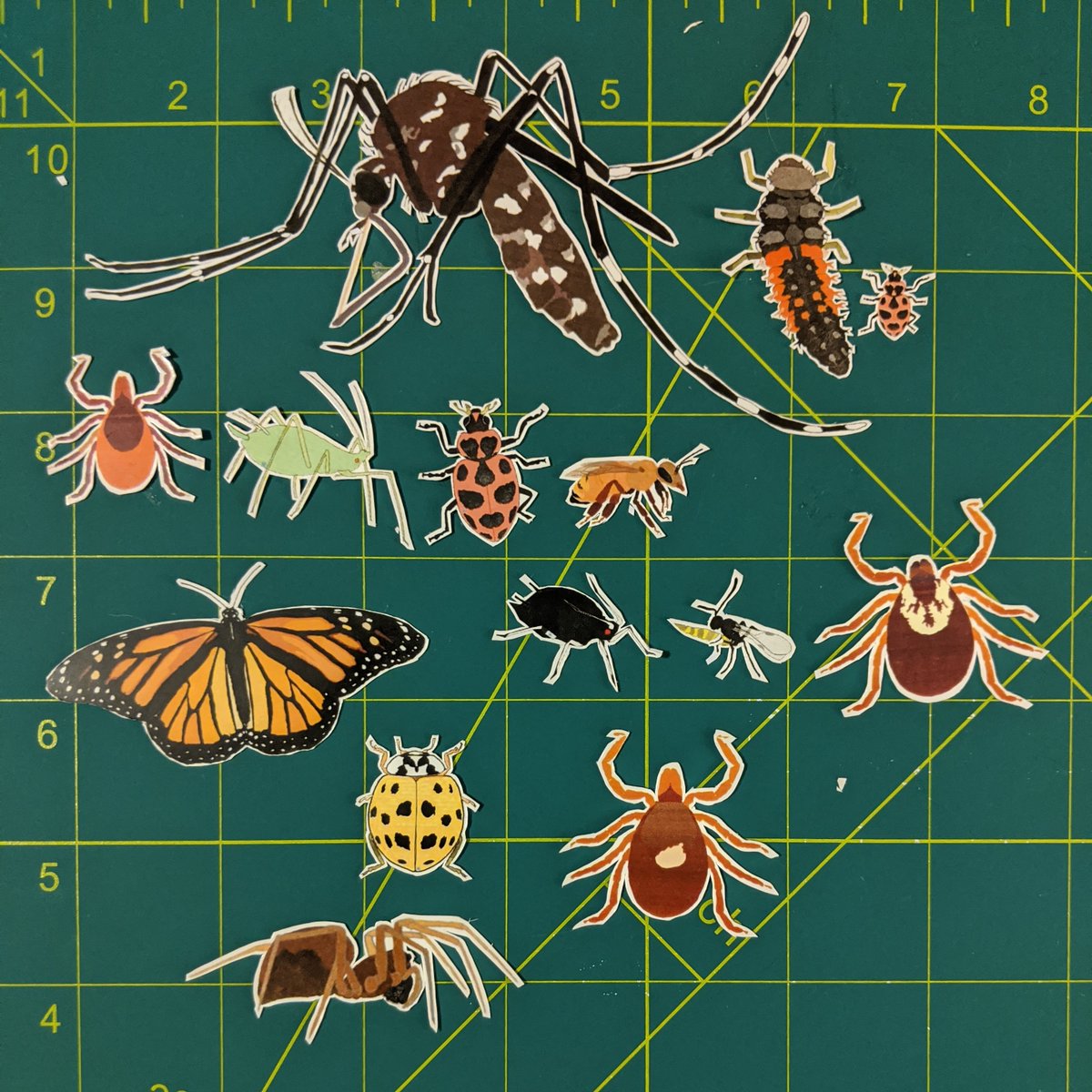 Hey, #entomology and #arachnology friends: would you like a free vinyl bug sticker?  I will mail one to you as a sort of fundraiser for the United States Postal Service.  #SaveUSPS  #SaveTheUSPS  #SaveThePostOffice